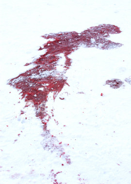blood snow